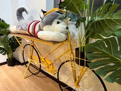 -Husky Go! 哈士奇体验馆·宠物咖啡厅狗咖