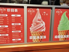 -萨朗刀克冰淇淋雪花凉(植物园店)