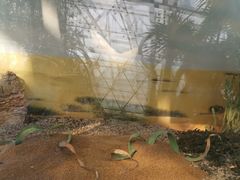 -北京植物园-展览温室