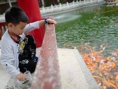 -广东圆玄道观