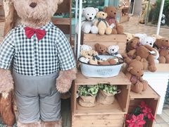 -济州岛泰迪熊博物馆