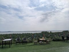 -七的湖·晚芳亭·阳澄湖农家菜·大闸蟹(莲花岛店)