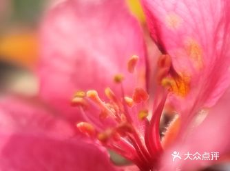 和煦的春风， 向人们轻柔呼唤着， 我来了 我来了 