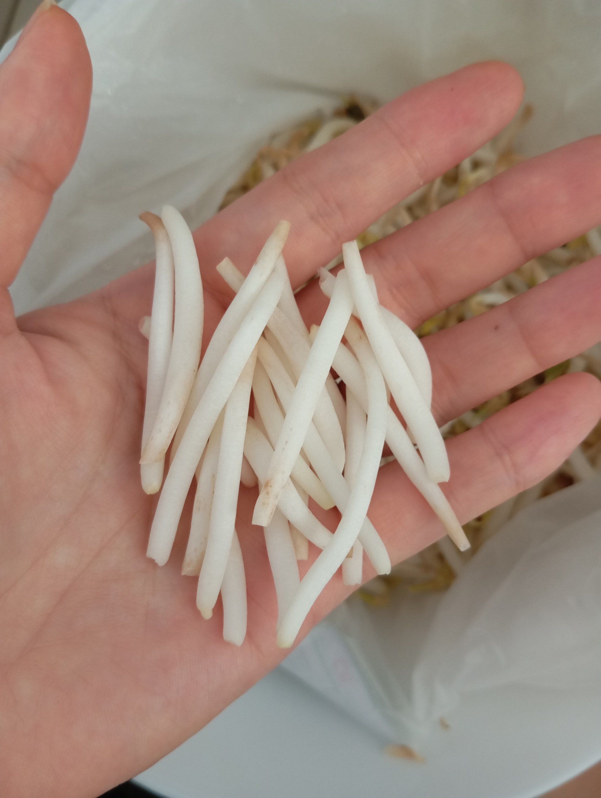 豆芽大家都怎么吃