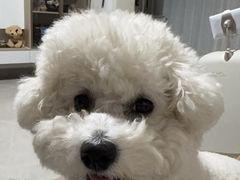 -恒幸动物医院·急重症转诊中心·神经内外科·CT核磁