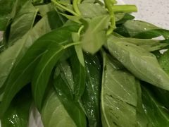 -蜀皇·菌汤鲜黄牛肉汤锅(宽窄巷子店)