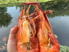 -欢乐蟹庄·精品农家乐(阳澄湖莲花岛店)