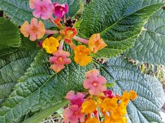 -白沙门生态公园