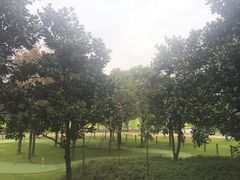 -上海佘山茂御臻品之选酒店(原佘山艾美酒店)