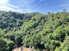 -广州白江湖森林公园