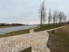 -春花秋色城市公园