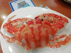 -友强·23年特色海鲜大排档(厦门店)