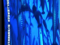 -同济大学四平路校区深海探索馆