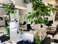 -Hair  Gallery