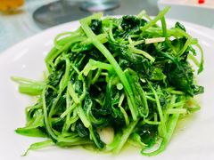 清炒鸡毛菜-亢龙太子酒轩·花园店