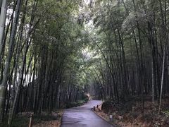 -苏州环秀晓筑养生度假村