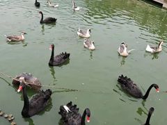 -无锡动物园·太湖欢乐园