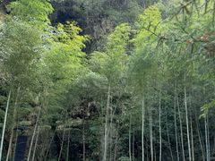 -石台牯牛降景区
