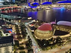 -新加坡瑞士史丹福酒店