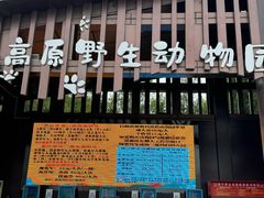 -青藏高原野生动物园