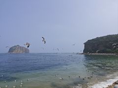 -棒棰岛宾馆景区