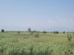 -野鸭湖国家湿地公园