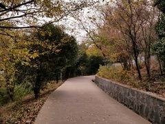 -太子山公园(园东路)