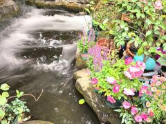 -火炉山森林公园