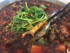 -胖大姐黄辣丁鱼庄(新津店)