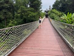 -铁山坪森林公园