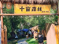 -十亩森林