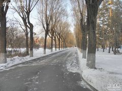 -哈尔滨文化公园