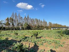 -前小桔亲子创意农场·草莓采摘·露营烧烤