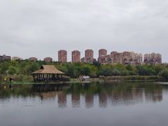 -前关湿地公园