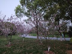 -尚贤河湿地