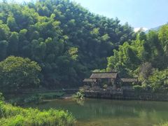 -东白山
