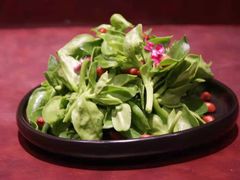 -金枝玉叶上海人家食府(三里河店)