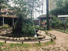 -林间山庄
