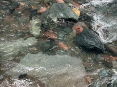 -西岭雪山大飞水景区