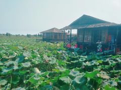 -军山湖云水间水上餐厅(进贤店)