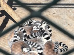 -水上乐园·欢乐世界