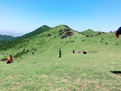 -大姆山草场