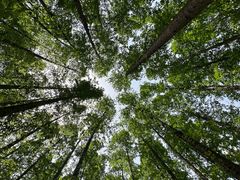 -南京金牛湖风景区