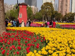 -大宁公园