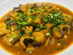 -全乐鱼馆·淳牌有机鱼直营店