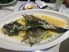 -席家花园(巨鹿花园店)