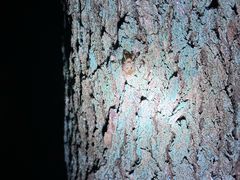 -广富林郊野公园