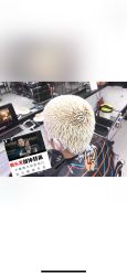 短发-SALON V
