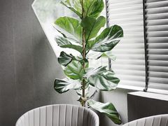-小柴米·传统江西菜(万寿宫店)