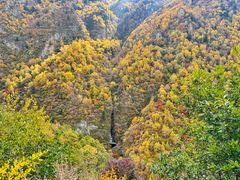 -小五台金河景区